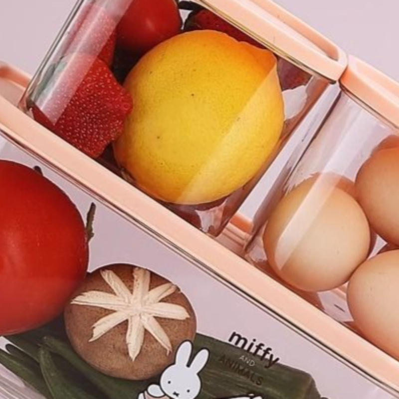 만화풍 귀여운 새 스타일 보관 용기 가정용 밀폐 투명  - First Food Jar 리뷰 및 가격