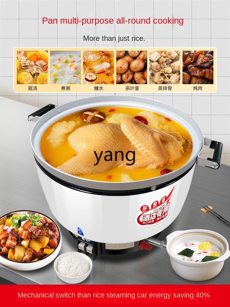 LCX 상업용 가스 대용량 구식 밥솥 캔틴 다기능 보온 - Baby Rice Food 리뷰 및 가격